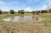 242 Reidy's Road, Wooroonden, Qld 4605-Image