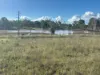 242 Reidy's Road, Wooroonden, Qld 4605-Image