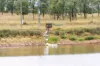 242 Reidy's Road, Wooroonden, Qld 4605-Image