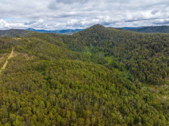 2423 Bulga Road, Bobin NSW 2429-Image