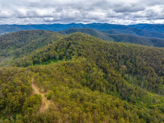 2423 Bulga Road, Bobin NSW 2429-Image