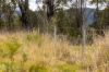2423 Bulga Road, Bobin NSW 2429-Image