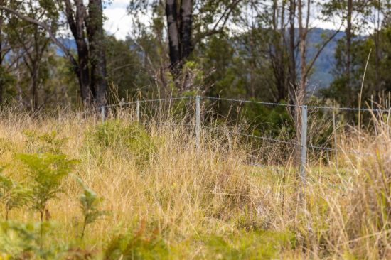 2423 Bulga Road, Bobin NSW 2429-Image