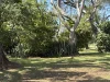 245 Upper Stratheden Road, Kyogle, NSW 2474-Image