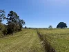 245 Upper Stratheden Road, Kyogle, NSW 2474-Image