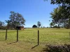 245 Upper Stratheden Road, Kyogle, NSW 2474-Image