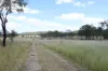 247 Glenprairie Road, Marlborough, Qld 4705-Image