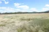 247 Glenprairie Road, Marlborough, Qld 4705-Image