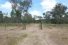247 Glenprairie Road, Marlborough, Qld 4705-Image