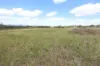 247 Glenprairie Road, Marlborough, Qld 4705-Image