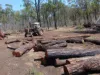 247 Glenprairie Road, Marlborough, Qld 4705-Image