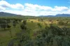 247 Glenprairie Road, Marlborough, Qld 4705-Image