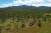 247 Glenprairie Road, Marlborough, Qld 4705-Image