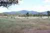 247 Glenprairie Road, Marlborough, Qld 4705-Image