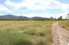 247 Glenprairie Road, Marlborough, Qld 4705-Image