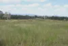 247 Glenprairie Road, Marlborough, Qld 4705-Image