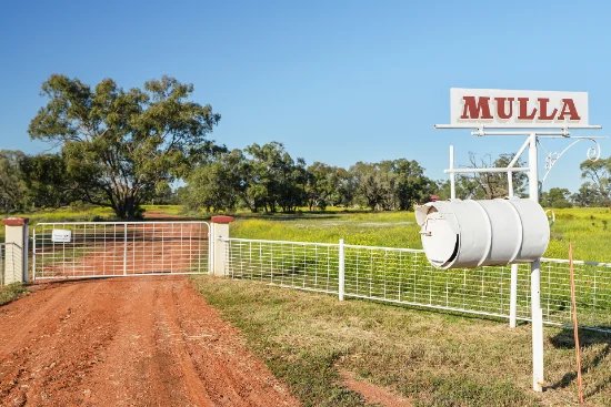 2472 Mulla Road, Nyngan, NSW 2825 - For Sale