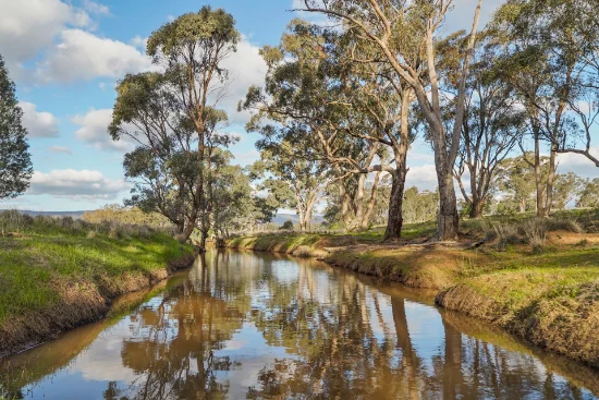 248 Houplines Road, Peak Hill, NSW 2869