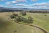 248 Houplines Road, Peak Hill, NSW 2869-Image