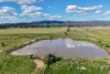 248 Houplines Road, Peak Hill, NSW 2869-Image