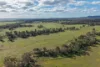 248 Houplines Road, Peak Hill, NSW 2869-Image