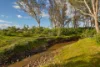 248 Houplines Road, Peak Hill, NSW 2869-Image