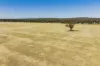 25 Kamarah Road, Narrandera, NSW 2700-Image