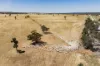 25 Kamarah Road, Narrandera, NSW 2700-Image