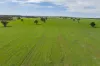 25 Kamarah Road, Narrandera, NSW 2700-Image