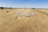 25 Kamarah Road, Narrandera, NSW 2700-Image