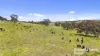 25 Nosworthy Road, Inman Valley, SA 5211-Image