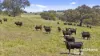 25 Nosworthy Road, Inman Valley, SA 5211-Image