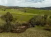 2543 Westbrook Road, Oberne Creek NSW 2650-Image