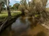 2543 Westbrook Road, Oberne Creek NSW 2650-Image