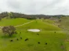 2543 Westbrook Road, Oberne Creek NSW 2650-Image