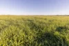 25858 Princes Highway, Clay Wells, SA 5280-Image