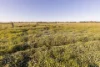 25858 Princes Highway, Clay Wells, SA 5280-Image