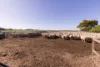 25858 Princes Highway, Clay Wells, SA 5280-Image