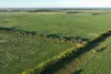 25858 Princes Highway, Clay Wells, SA 5280-Image