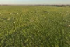 25858 Princes Highway, Clay Wells, SA 5280-Image