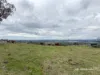 2591 Elsmore Road, Inverell, NSW 2360-Image