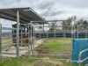 2591 Elsmore Road, Inverell, NSW 2360-Image