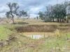 2591 Elsmore Road, Inverell, NSW 2360-Image