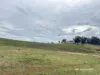 2591 Elsmore Road, Inverell, NSW 2360-Image
