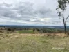 2591 Elsmore Road, Inverell, NSW 2360-Image