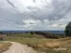 2591 Elsmore Road, Inverell, NSW 2360-Image