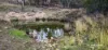 2591 Elsmore Road, Inverell, NSW 2360-Image
