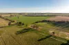 261 Paper Forest Road, Mangoplah, NSW 2652-Image