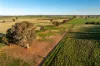 261 Paper Forest Road, Mangoplah, NSW 2652-Image