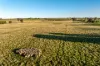 261 Paper Forest Road, Mangoplah, NSW 2652-Image